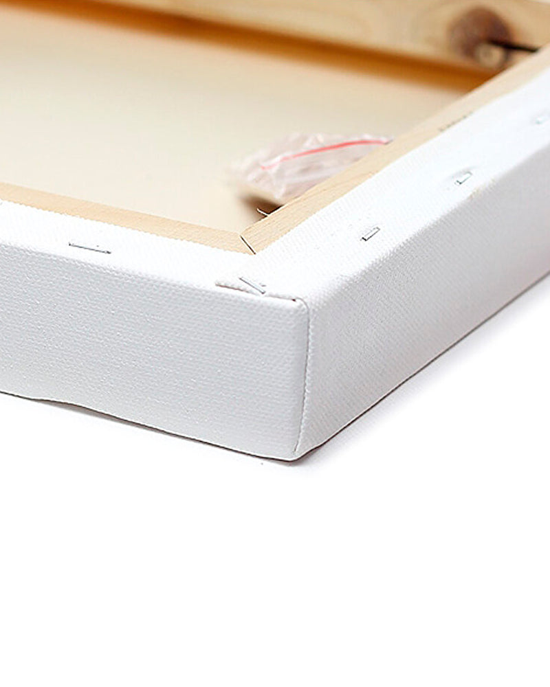 Cosmic Reflection - Canvas Print