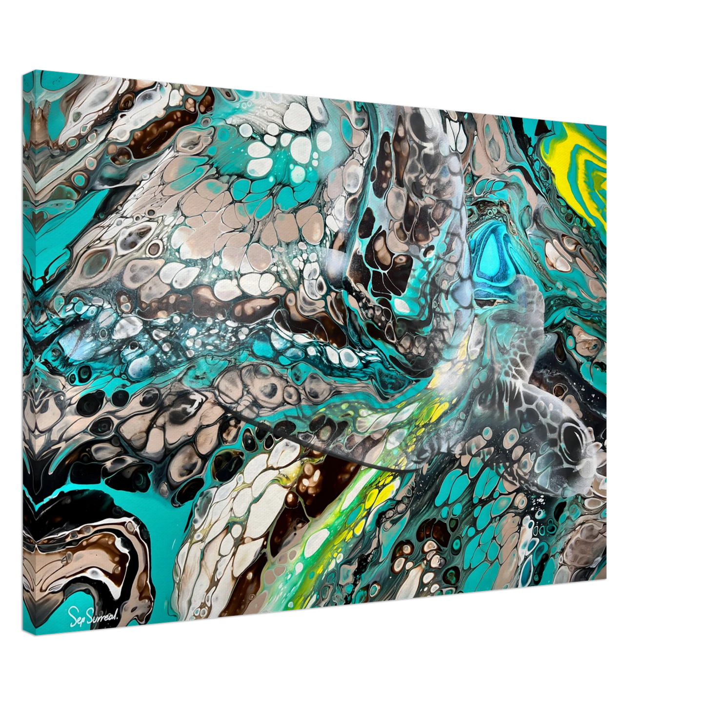 3cd4c4cc-1211-4be5-9672-bbef12b95bb1