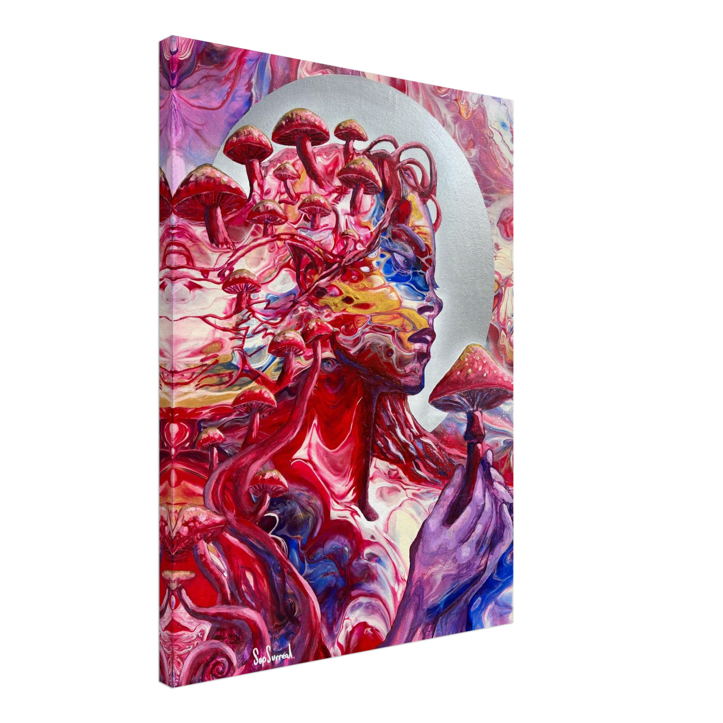 4e50550c-787c-4e07-852f-4b732416e75e