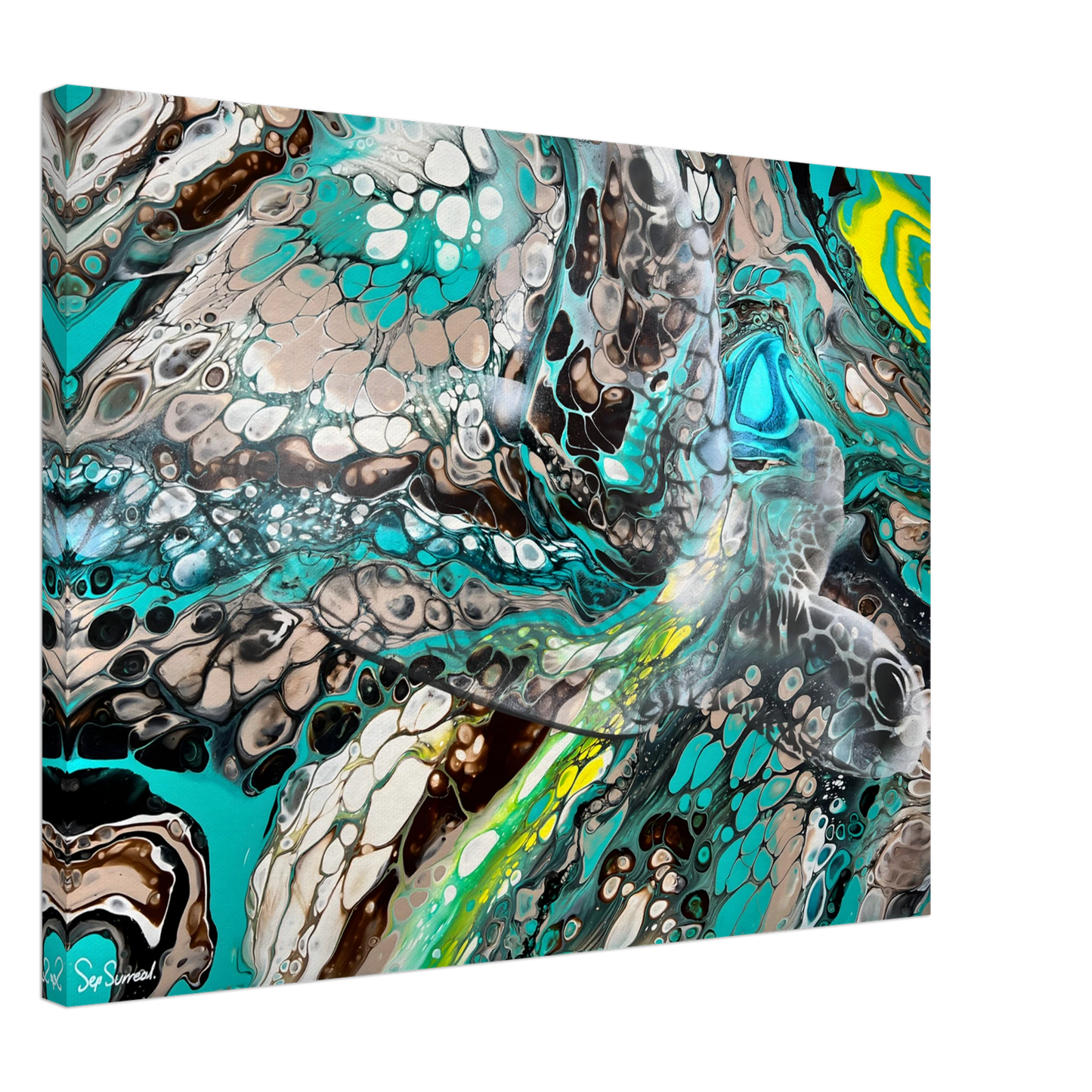 a3775868-f9aa-48c0-bd0b-7f282b26630d