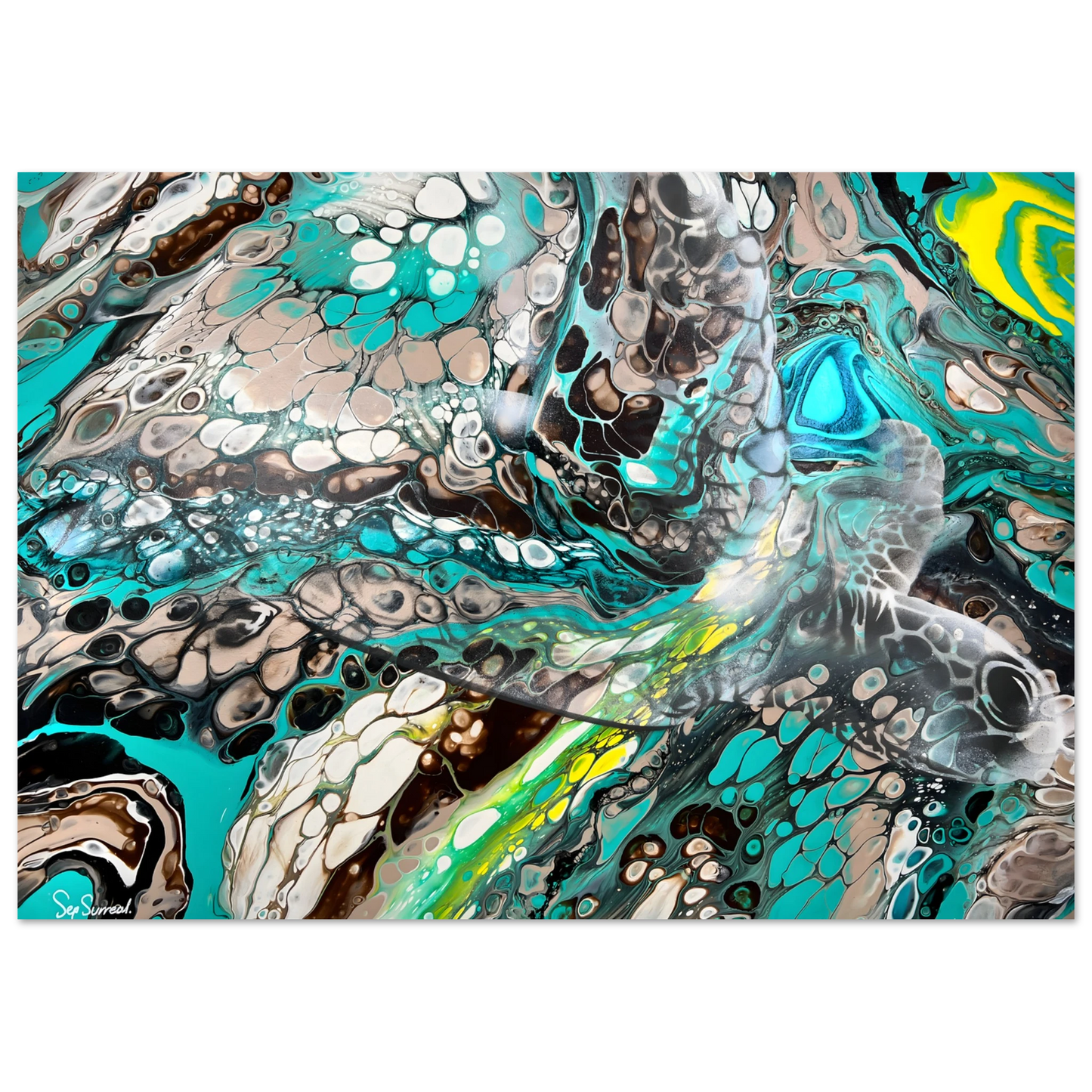 c6959681-9848-4aa6-b01c-cca3624e78b8