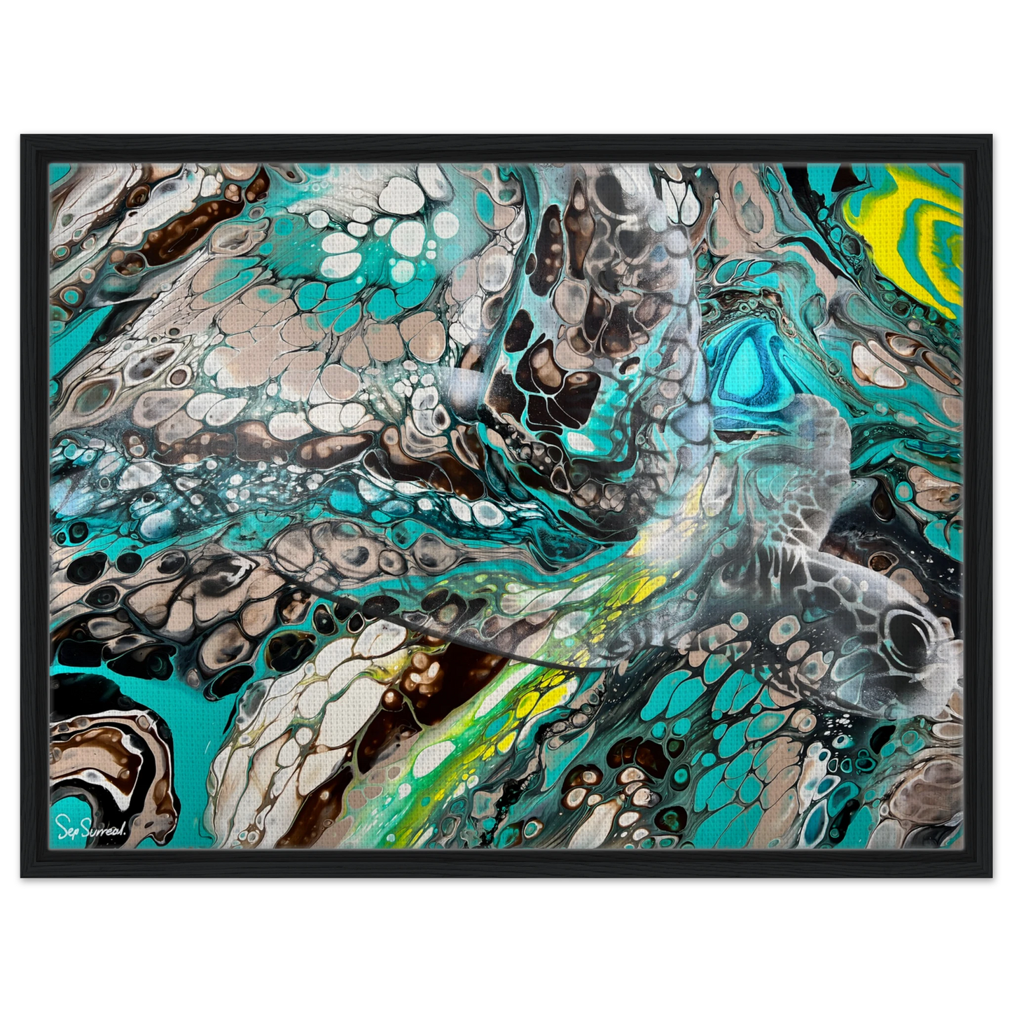 e67ff557-ec24-49aa-9d74-33638d3c674b